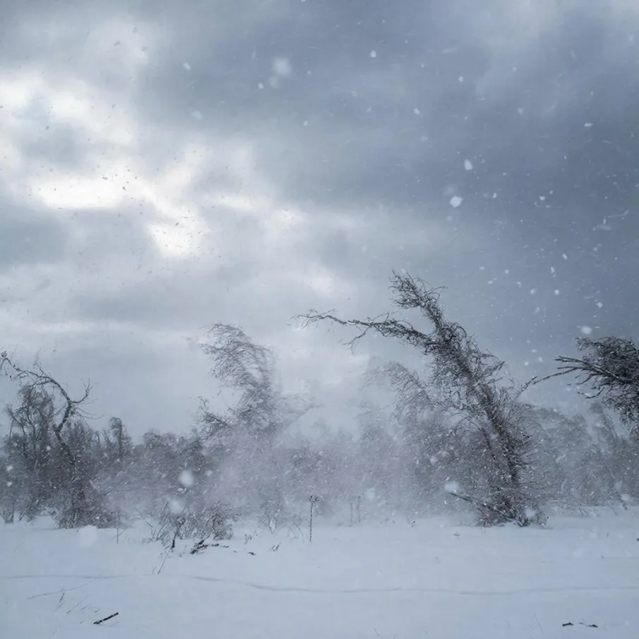 Внимание! Ожидается сильный ветер!